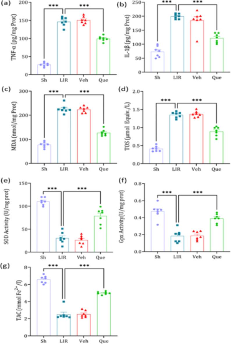 https://cdn.ncbi.nlm.nih.gov/pmc/blobs/d1ef/11452703/a2141577aa6c/41598_2024_73075_Fig2_HTML.jpg