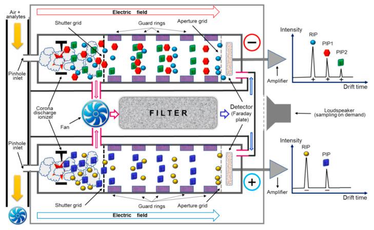 https://cdn.ncbi.nlm.nih.gov/pmc/blobs/d1ef/8347864/ff6967ea4e7c/sensors-21-05045-g001.jpg