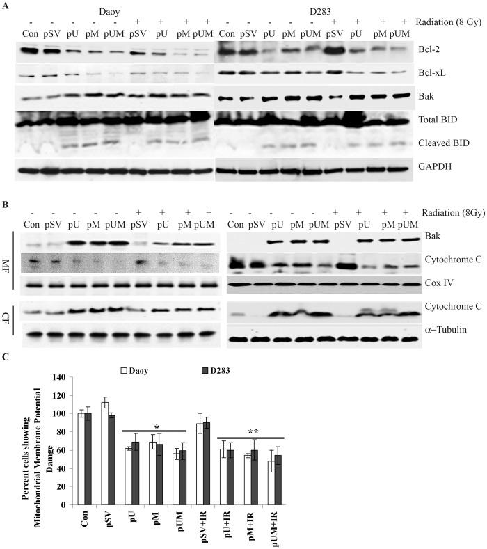 https://cdn.ncbi.nlm.nih.gov/pmc/blobs/d1f2/3440337/06bf1f9ff881/pone.0044798.g002.jpg