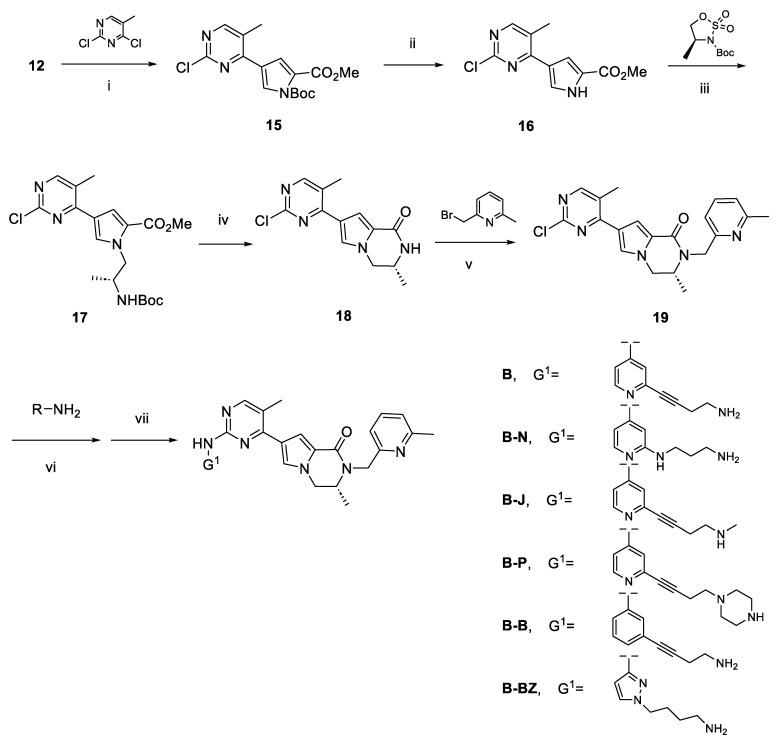 https://cdn.ncbi.nlm.nih.gov/pmc/blobs/d1f5/10671693/5fe9e2329408/ijms-24-16290-sch003.jpg