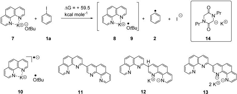 https://cdn.ncbi.nlm.nih.gov/pmc/blobs/d1f5/6272703/d7f0ecbfe9cb/molecules-20-01755-g002.jpg