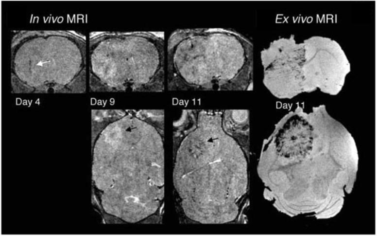 https://cdn.ncbi.nlm.nih.gov/pmc/blobs/d1f6/11059564/faca8ff23e99/d3na01064c-f5.jpg