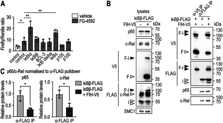 https://cdn.ncbi.nlm.nih.gov/pmc/blobs/d1fb/11110689/e29d36580521/TMCB_A_2338727_F0005_B.jpg