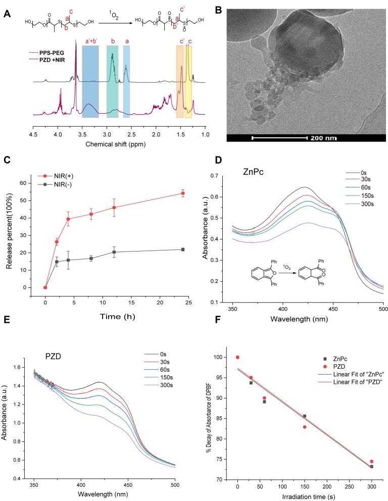 https://cdn.ncbi.nlm.nih.gov/pmc/blobs/d1fb/6964533/1d7f3beb6191/IJN-15-137-g0003.jpg