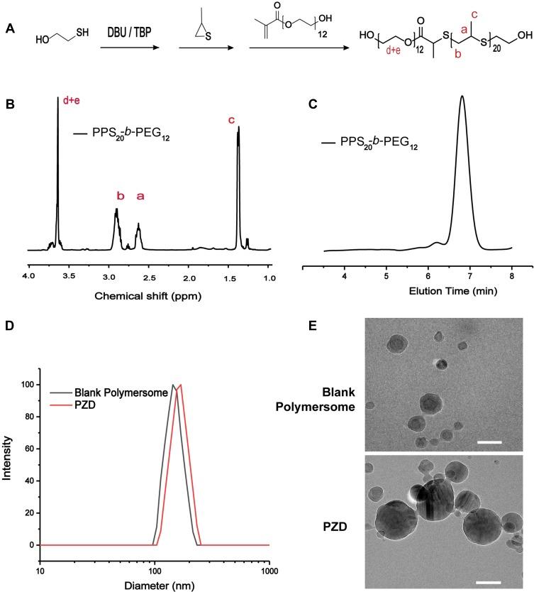 https://cdn.ncbi.nlm.nih.gov/pmc/blobs/d1fb/6964533/77f507be379b/IJN-15-137-g0002.jpg