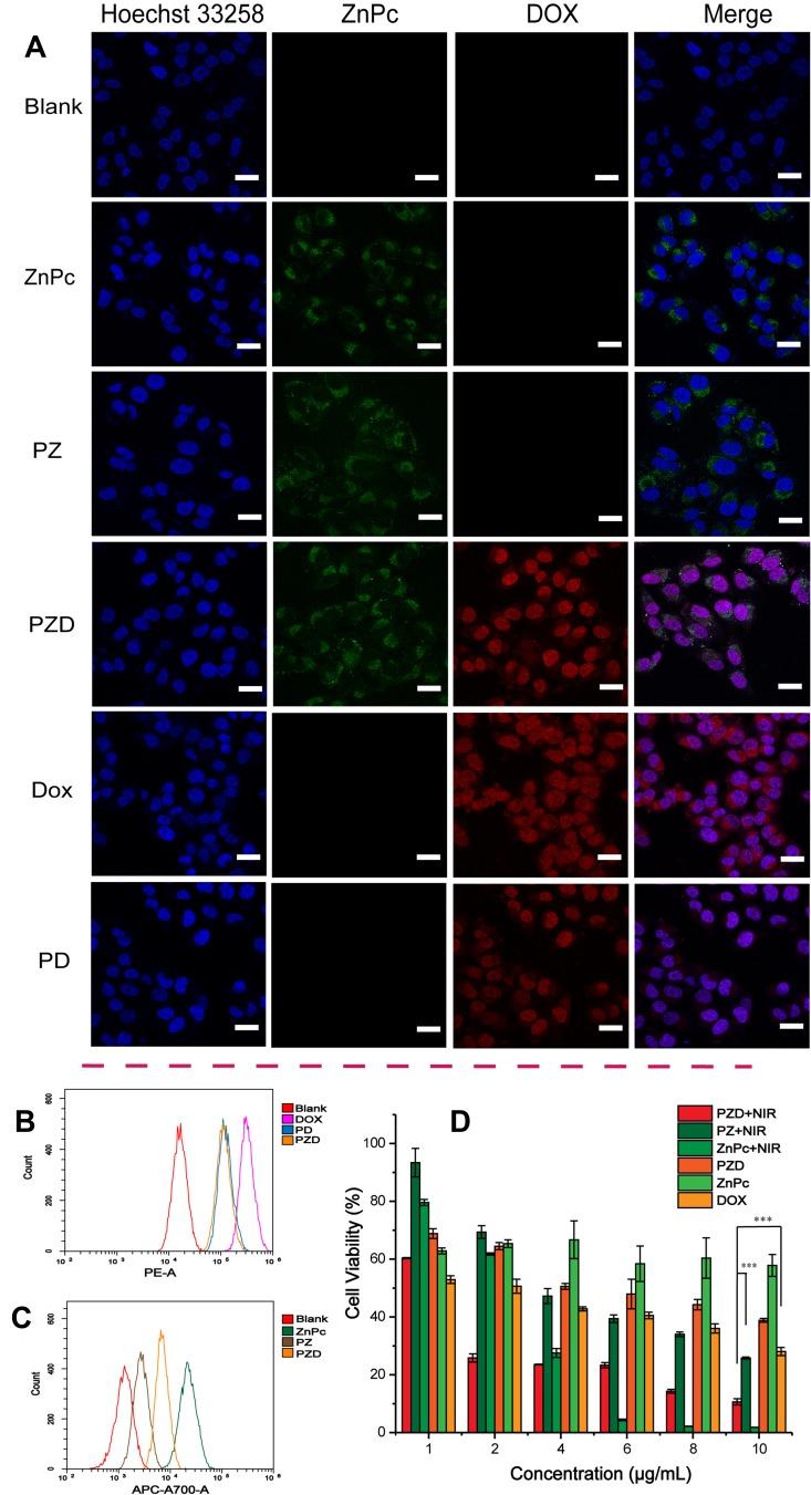 https://cdn.ncbi.nlm.nih.gov/pmc/blobs/d1fb/6964533/c89114ca2f94/IJN-15-137-g0004.jpg
