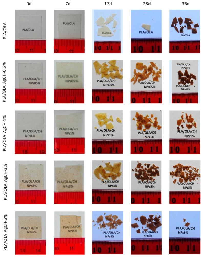 https://cdn.ncbi.nlm.nih.gov/pmc/blobs/d1fb/7022492/a44154eea63c/nanomaterials-10-00022-g010.jpg