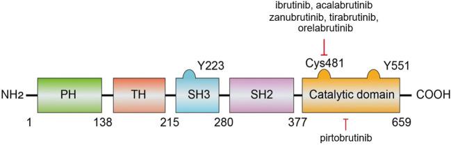 https://cdn.ncbi.nlm.nih.gov/pmc/blobs/d1ff/11703922/d364f00b8dbd/fonc-14-1463505-g003.jpg
