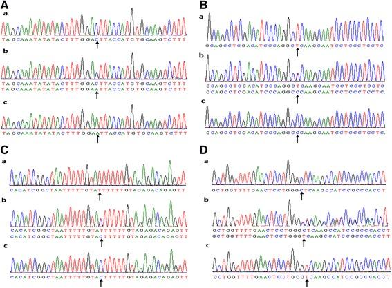 https://cdn.ncbi.nlm.nih.gov/pmc/blobs/d1ff/5006532/7eaf09818728/12944_2016_307_Fig1_HTML.jpg