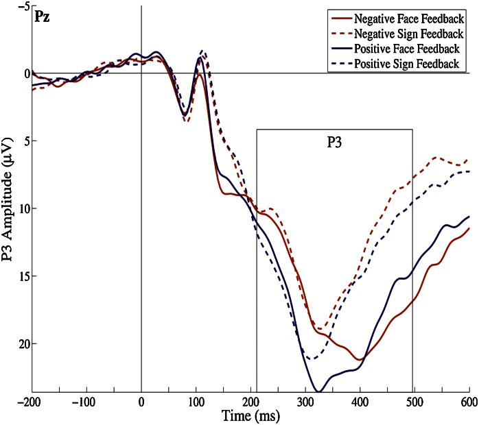 https://cdn.ncbi.nlm.nih.gov/pmc/blobs/d203/3688084/80972be7a6c1/gr5.jpg