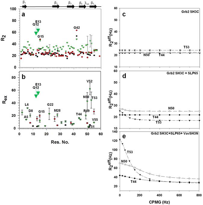https://cdn.ncbi.nlm.nih.gov/pmc/blobs/d204/5430726/0c7407e75813/41598_2017_1364_Fig9_HTML.jpg