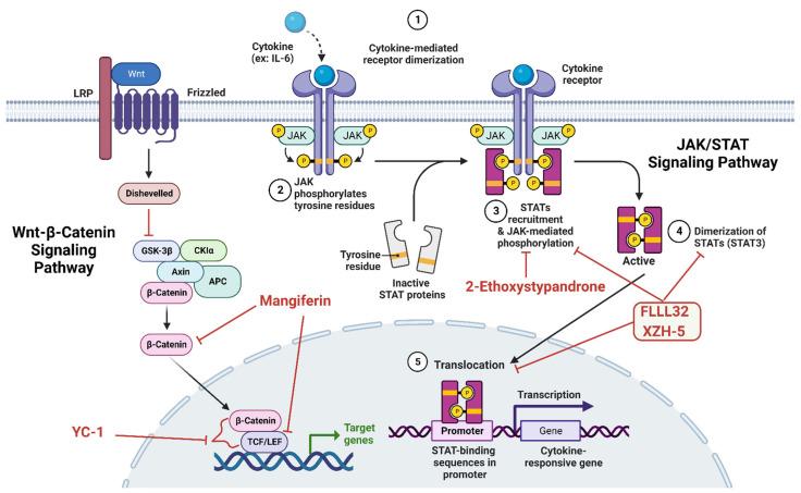 https://cdn.ncbi.nlm.nih.gov/pmc/blobs/d204/9457820/efab2bb34b79/molecules-27-05537-g006.jpg