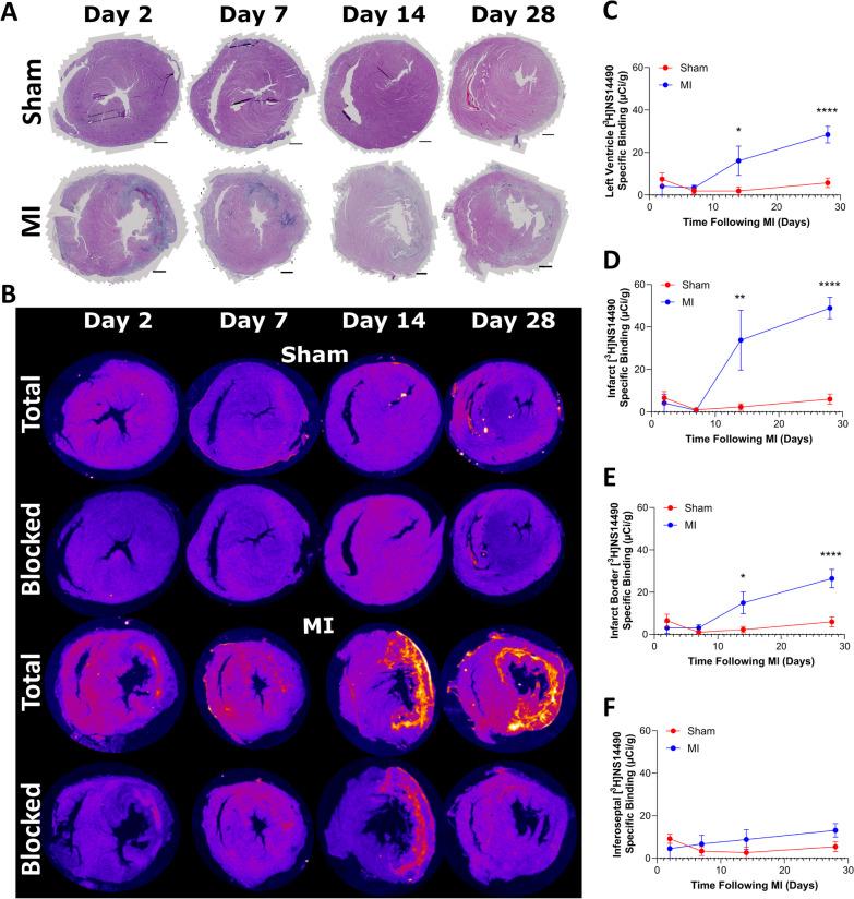 https://cdn.ncbi.nlm.nih.gov/pmc/blobs/d207/10784260/487782f51dc0/13550_2023_1058_Fig3_HTML.jpg