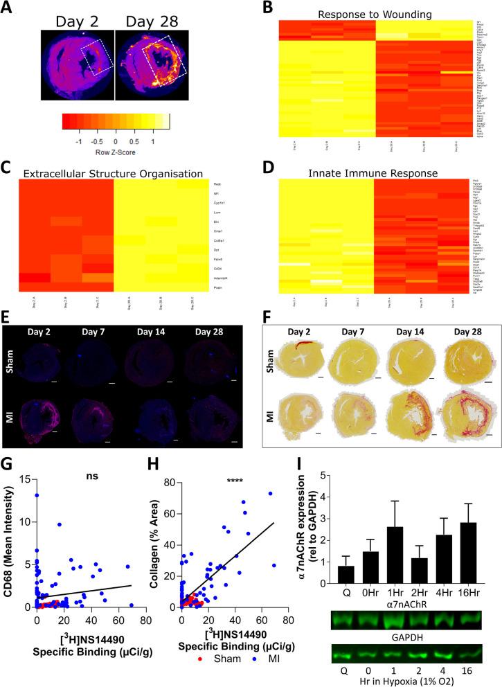 https://cdn.ncbi.nlm.nih.gov/pmc/blobs/d207/10784260/b0ec5bf9091d/13550_2023_1058_Fig4_HTML.jpg