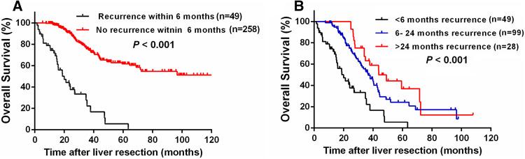 https://cdn.ncbi.nlm.nih.gov/pmc/blobs/d207/11813467/2da44db54f25/432_2017_2538_Fig3_HTML.jpg