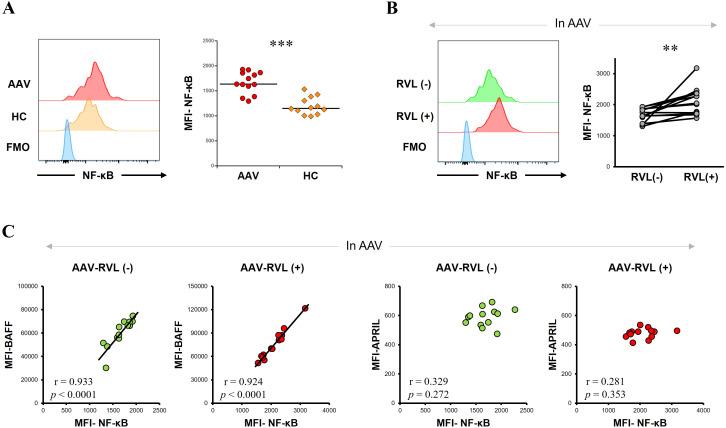 https://cdn.ncbi.nlm.nih.gov/pmc/blobs/d207/12174086/177e0cdb90d5/fimmu-16-1586158-g005.jpg