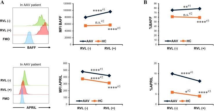 https://cdn.ncbi.nlm.nih.gov/pmc/blobs/d207/12174086/d231cd4261a6/fimmu-16-1586158-g002.jpg