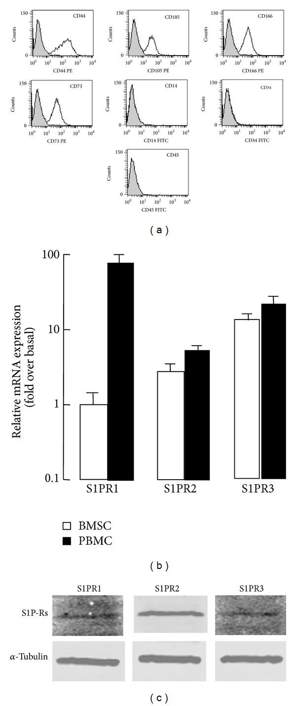 https://cdn.ncbi.nlm.nih.gov/pmc/blobs/d20a/4132341/962a5f301e33/MI2014-565369.001.jpg