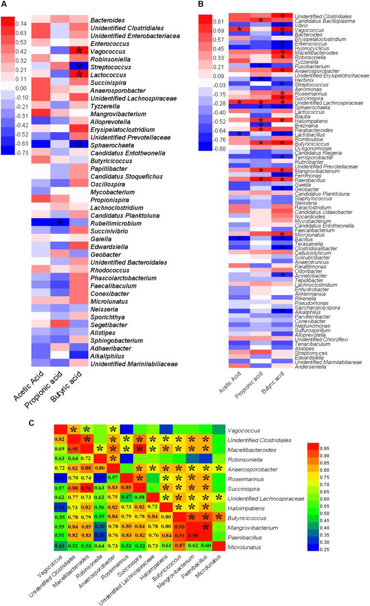 https://cdn.ncbi.nlm.nih.gov/pmc/blobs/d20b/7338486/812ef917d173/fmicb-11-01352-g006.jpg