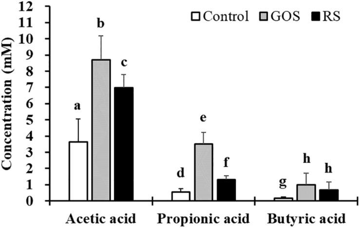 https://cdn.ncbi.nlm.nih.gov/pmc/blobs/d20b/7338486/b6a25fbe0bd8/fmicb-11-01352-g001.jpg