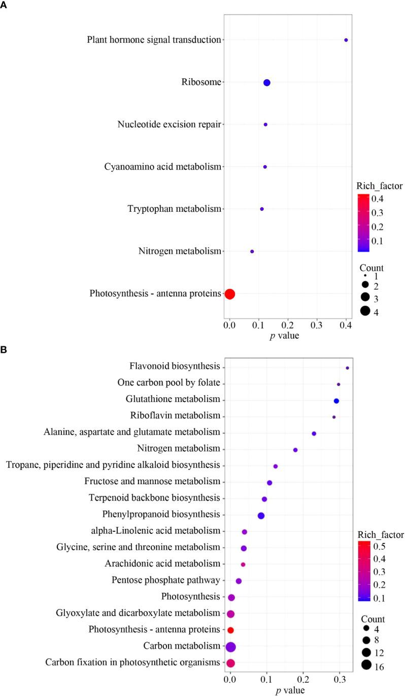 https://cdn.ncbi.nlm.nih.gov/pmc/blobs/d20b/9800929/a00ca47e8d37/fpls-13-1052463-g006.jpg
