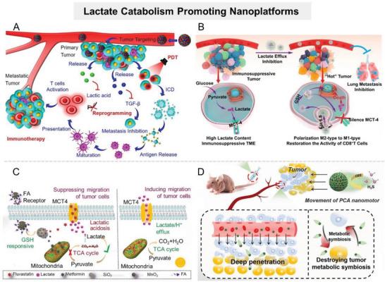 https://cdn.ncbi.nlm.nih.gov/pmc/blobs/d20c/10797484/2390442696f8/ADVS-11-2305662-g003.jpg