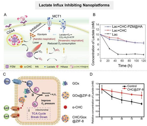 https://cdn.ncbi.nlm.nih.gov/pmc/blobs/d20c/10797484/603c7edf85bf/ADVS-11-2305662-g015.jpg
