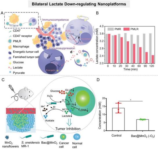 https://cdn.ncbi.nlm.nih.gov/pmc/blobs/d20c/10797484/71d83826f3f0/ADVS-11-2305662-g007.jpg