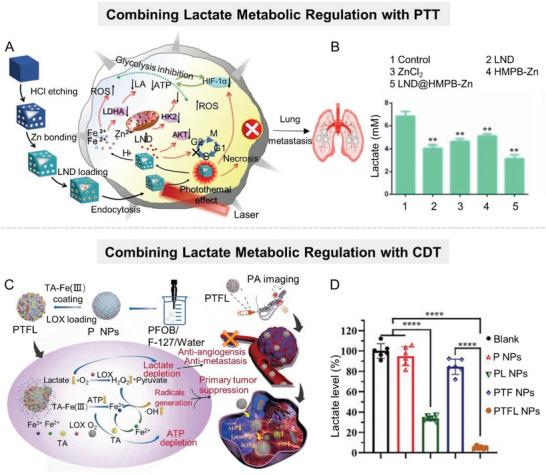 https://cdn.ncbi.nlm.nih.gov/pmc/blobs/d20c/10797484/bc354df37ce1/ADVS-11-2305662-g002.jpg