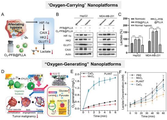 https://cdn.ncbi.nlm.nih.gov/pmc/blobs/d20c/10797484/e7866d6de9ef/ADVS-11-2305662-g016.jpg