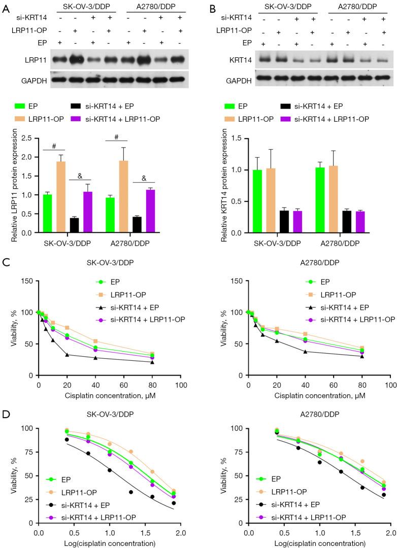 https://cdn.ncbi.nlm.nih.gov/pmc/blobs/d20f/11985182/97c4bcb01a46/tcr-14-03-1786-f5.jpg