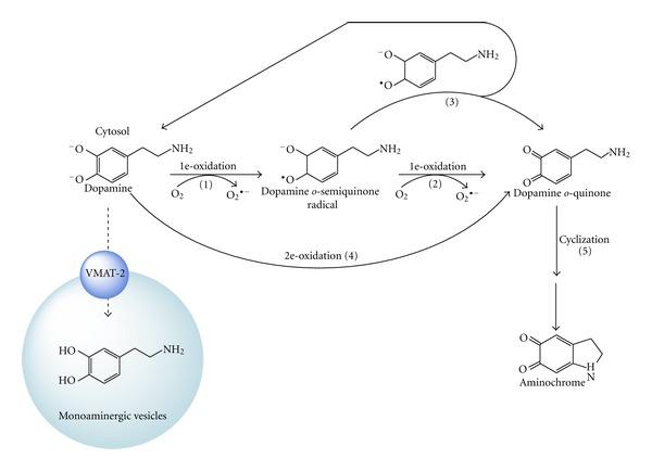 https://cdn.ncbi.nlm.nih.gov/pmc/blobs/d210/3433151/dff492e9ad20/PD2012-920953.003.jpg