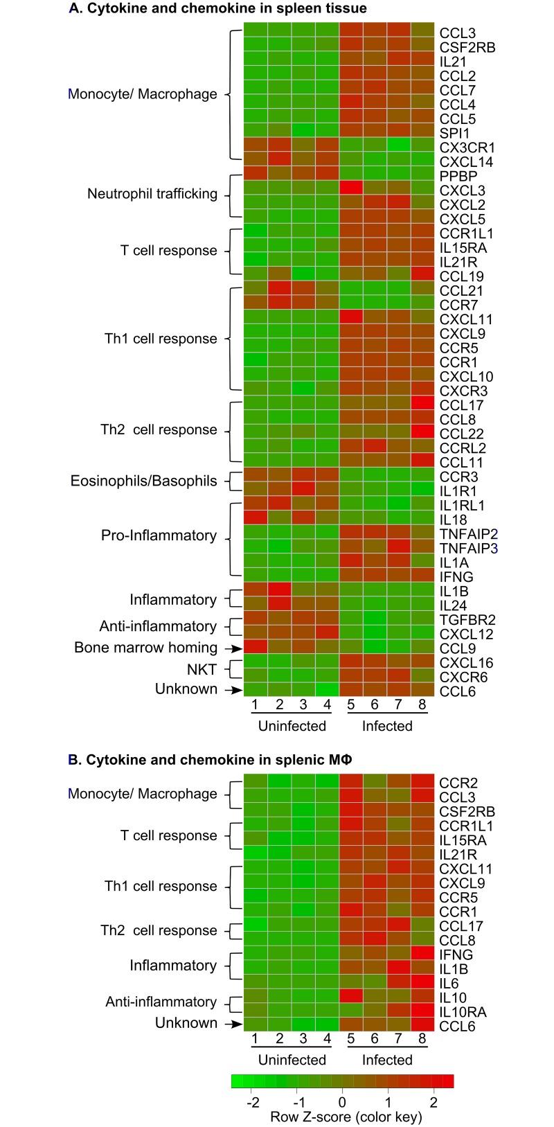 https://cdn.ncbi.nlm.nih.gov/pmc/blobs/d210/5283737/f94b25c23e21/ppat.1006165.g005.jpg