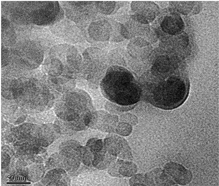 https://cdn.ncbi.nlm.nih.gov/pmc/blobs/d211/11590553/d7675b00e0e9/TurkJPharmSci-21-199-figure-5.jpg
