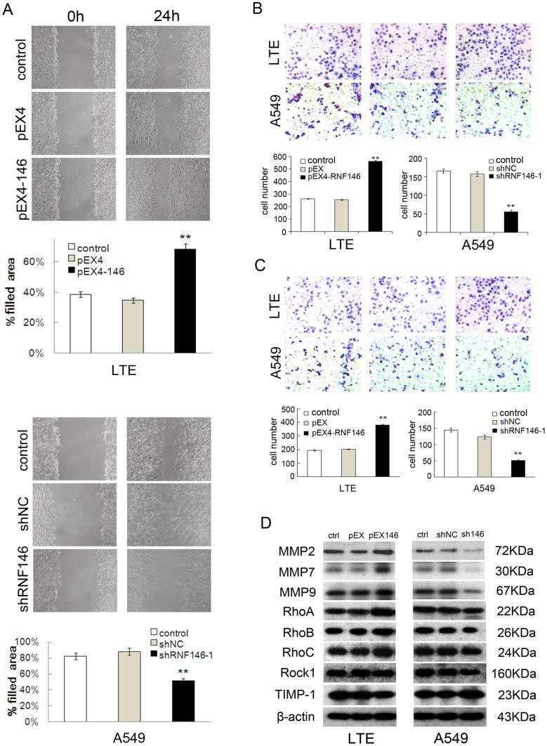 https://cdn.ncbi.nlm.nih.gov/pmc/blobs/d211/3891871/d2fbe9c2815d/pone.0085377.g004.jpg