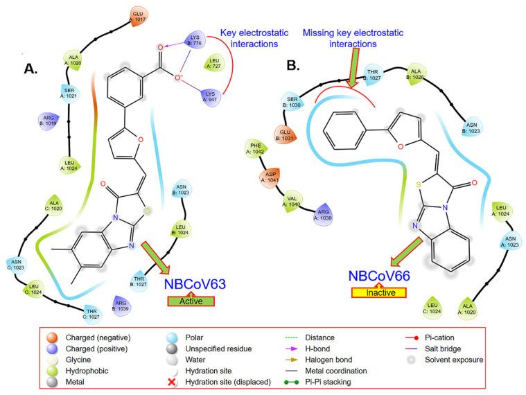 https://cdn.ncbi.nlm.nih.gov/pmc/blobs/d214/10141620/43a0abd73ee8/viruses-15-01001-g002.jpg