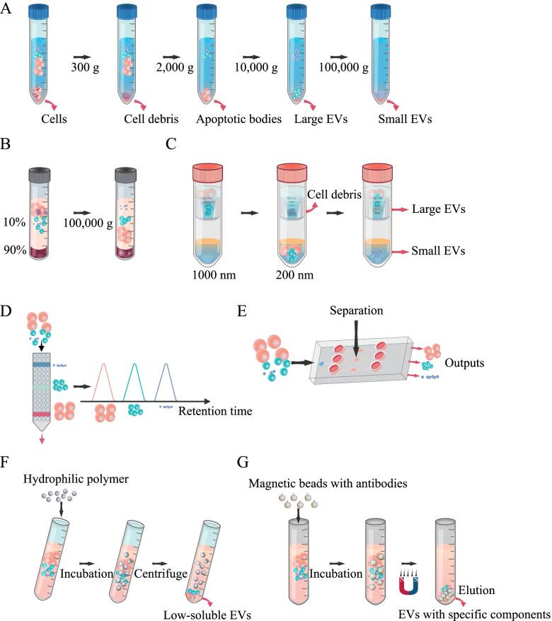 https://cdn.ncbi.nlm.nih.gov/pmc/blobs/d214/9524126/9604c03cc4ad/40824_2022_292_Fig5_HTML.jpg
