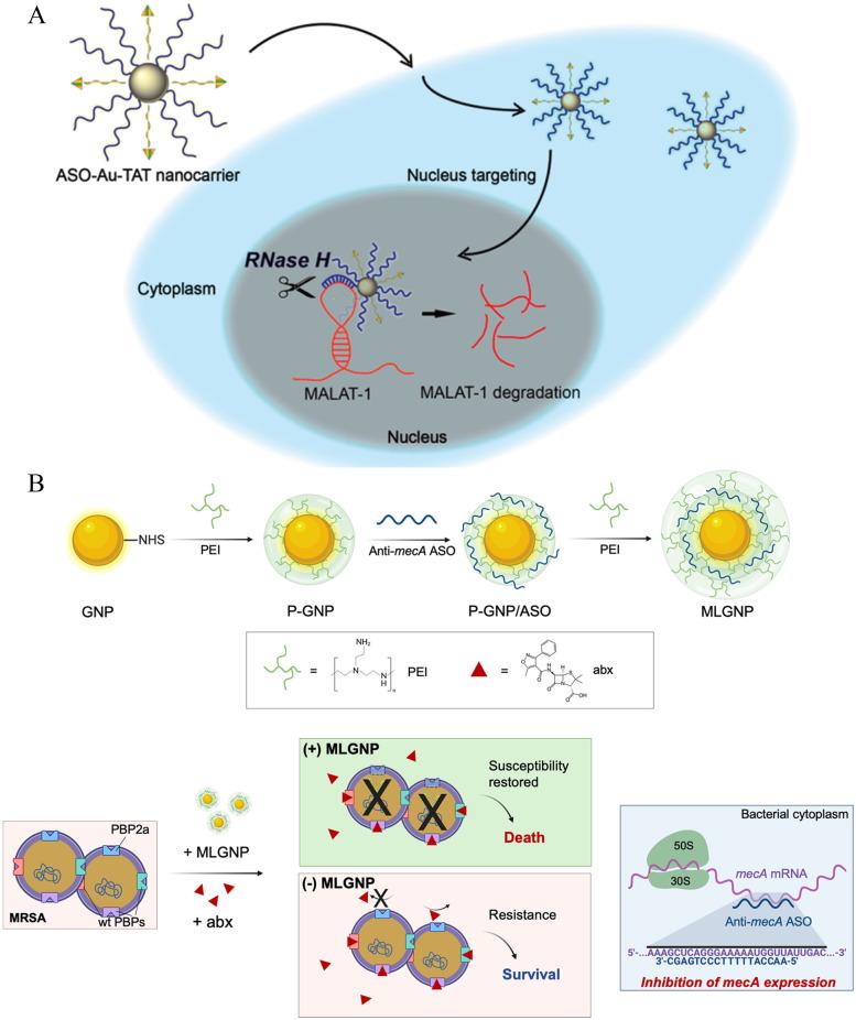 https://cdn.ncbi.nlm.nih.gov/pmc/blobs/d214/9524126/b7d43463a9ce/40824_2022_292_Fig8_HTML.jpg