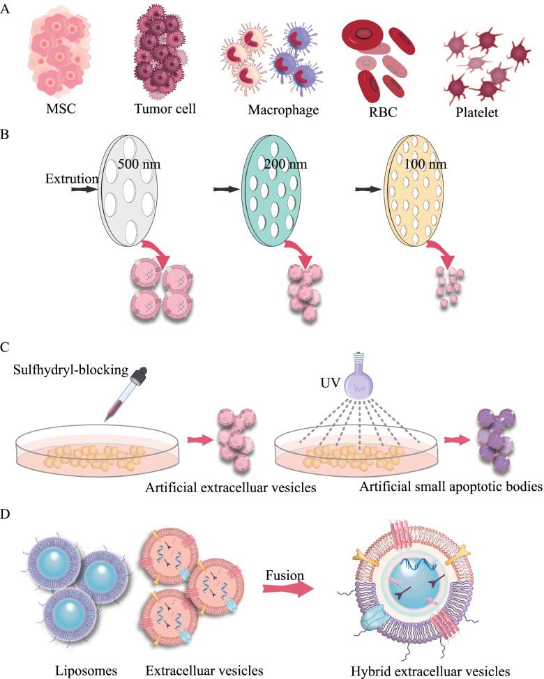 https://cdn.ncbi.nlm.nih.gov/pmc/blobs/d214/9524126/dfbc71873acd/40824_2022_292_Fig7_HTML.jpg