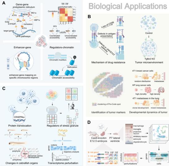 https://cdn.ncbi.nlm.nih.gov/pmc/blobs/d214/9896079/8014dc77dfed/ADVS-10-2204484-g002.jpg