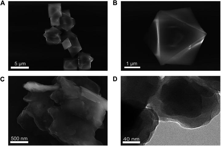 https://cdn.ncbi.nlm.nih.gov/pmc/blobs/d215/8530376/8d891d5c51e3/fchem-09-743637-g001.jpg