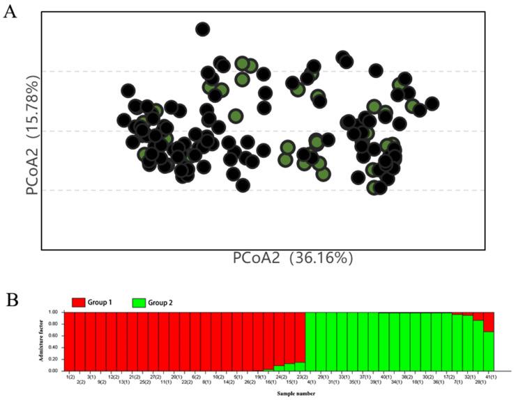https://cdn.ncbi.nlm.nih.gov/pmc/blobs/d217/12252320/1a578af32264/plants-14-01998-g004.jpg