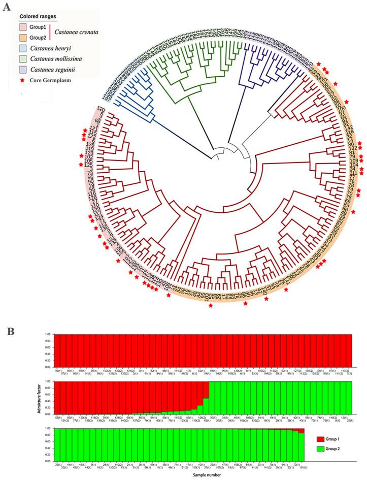 https://cdn.ncbi.nlm.nih.gov/pmc/blobs/d217/12252320/820bfac51f28/plants-14-01998-g001.jpg