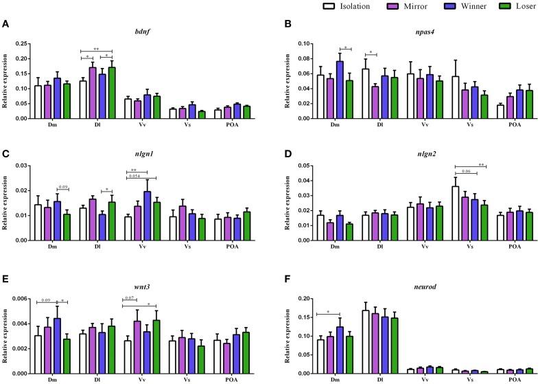 https://cdn.ncbi.nlm.nih.gov/pmc/blobs/d217/4754415/c464fdc43d18/fnbeh-10-00016-g0002.jpg