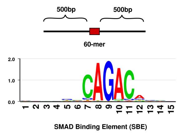 https://cdn.ncbi.nlm.nih.gov/pmc/blobs/d218/2724489/0cce3a0a5bff/1752-0509-3-73-4.jpg