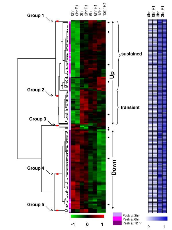 https://cdn.ncbi.nlm.nih.gov/pmc/blobs/d218/2724489/35a7ea280ef7/1752-0509-3-73-1.jpg