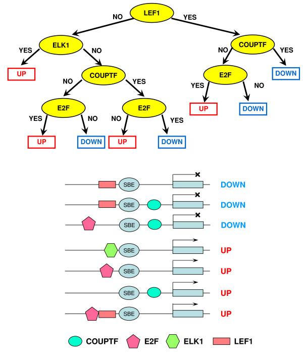 https://cdn.ncbi.nlm.nih.gov/pmc/blobs/d218/2724489/378da91d1183/1752-0509-3-73-7.jpg