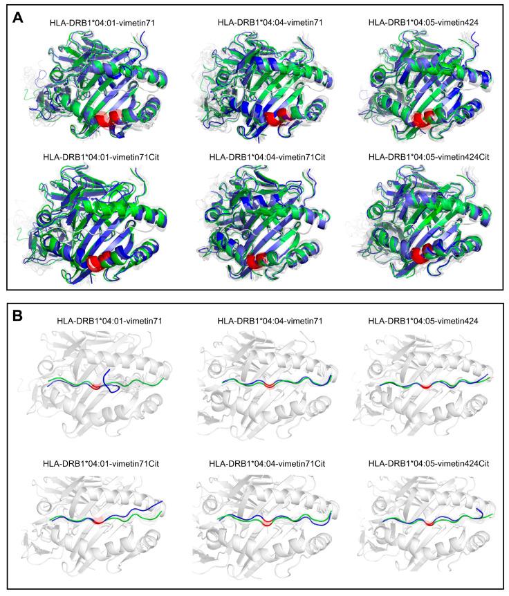 https://cdn.ncbi.nlm.nih.gov/pmc/blobs/d219/11719467/cba816c0e488/ijms-26-00034-g004.jpg