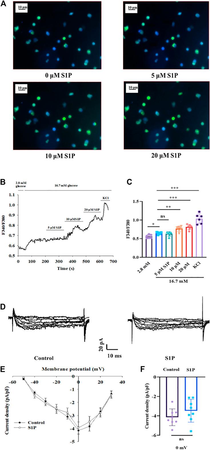 https://cdn.ncbi.nlm.nih.gov/pmc/blobs/d219/8313013/45a1c3b83b1c/fphar-12-683674-g003.jpg