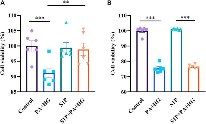 https://cdn.ncbi.nlm.nih.gov/pmc/blobs/d219/8313013/7817b4809f47/fphar-12-683674-g008.jpg
